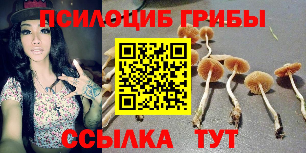 Псилоцибиновые грибы Magic Shrooms Балашиха